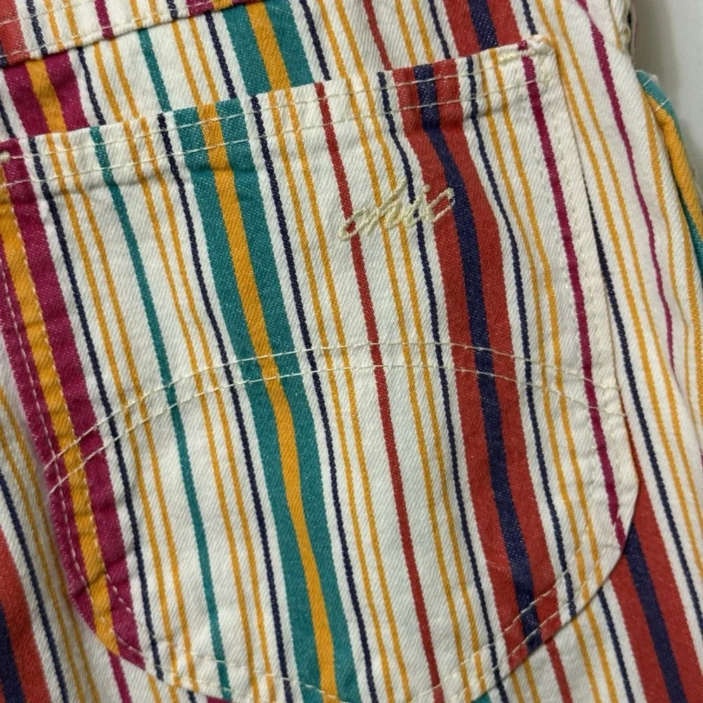 Vintage Chic Made In USA Pinstripe Colorful Shorts Women's Size 12